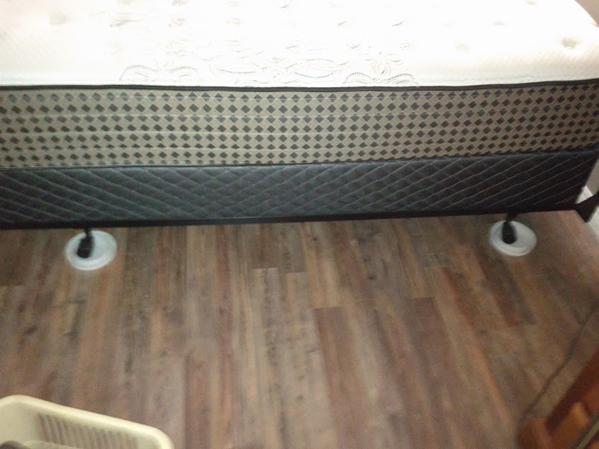 bedbug identification and inspection