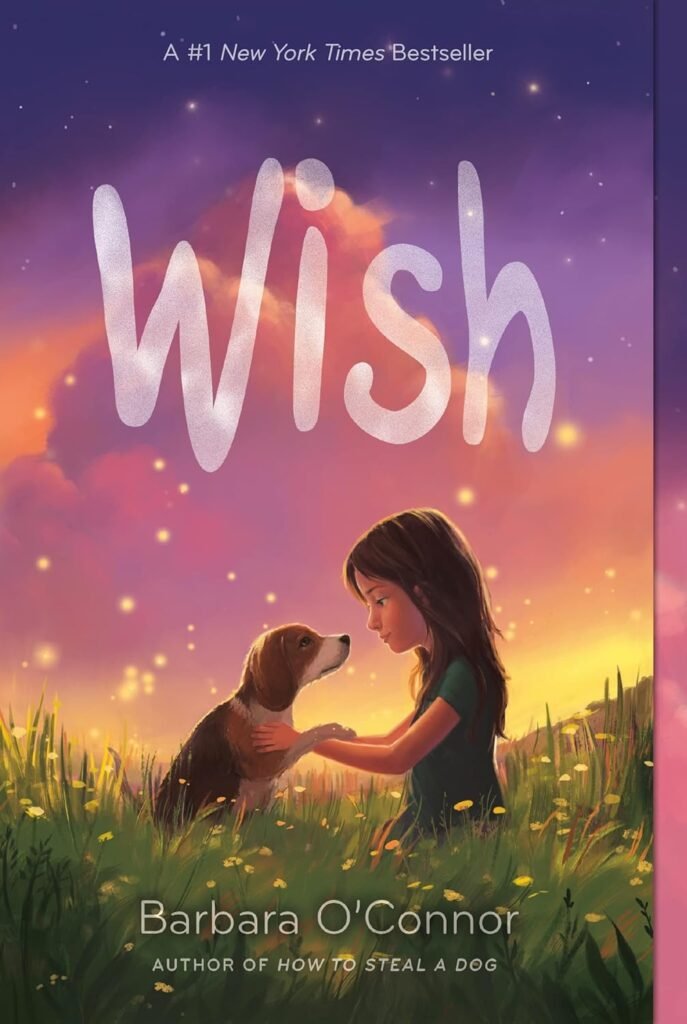 Wish     Paperback – August 29, 2017